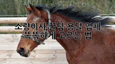소량이사 꿀팁🍯 용달 업체 똑똑하게 고르는 법!