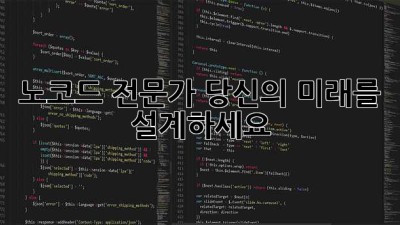노코드 전문가, 당신의 미래를 설계하세요!